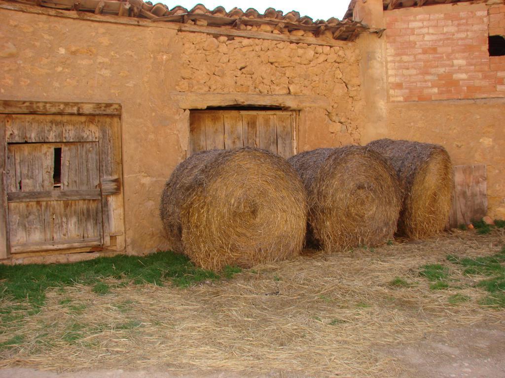 Holiday home La Guapeta